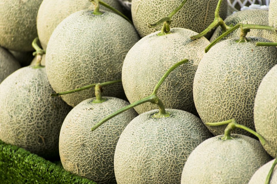 Cantaloupe Contamination Control