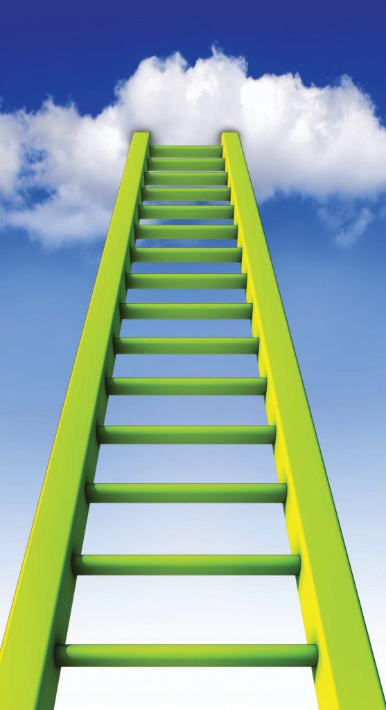 growth ladder