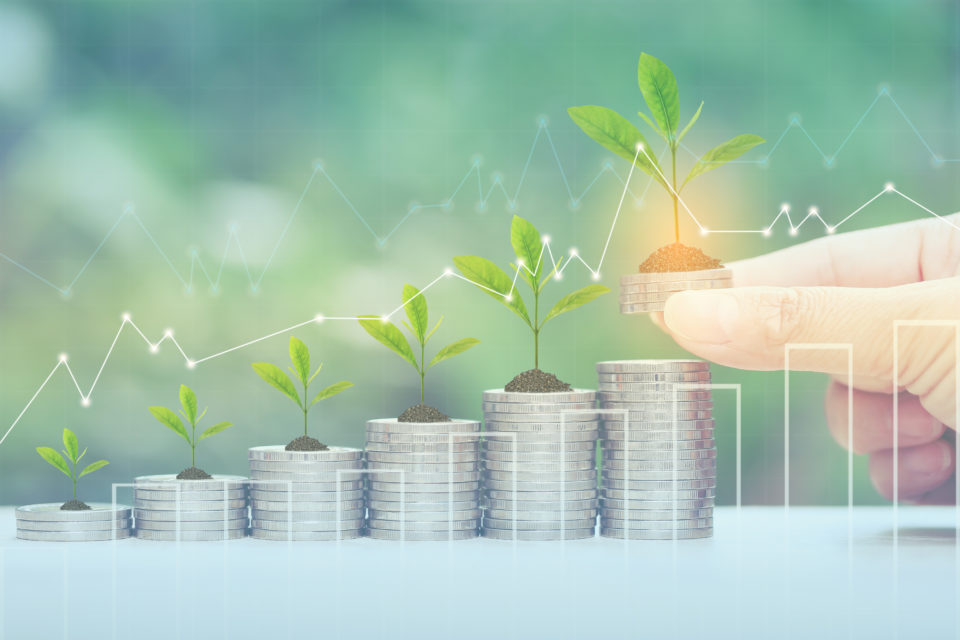 The Small Business Conundrum: A Growth Plan