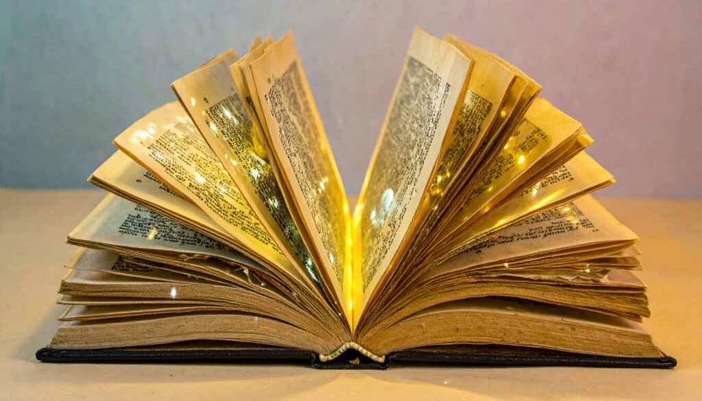 M&A transitions book